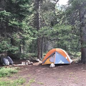 Meet your Posher, Cyndi